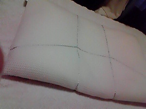 201005092130000.jpg